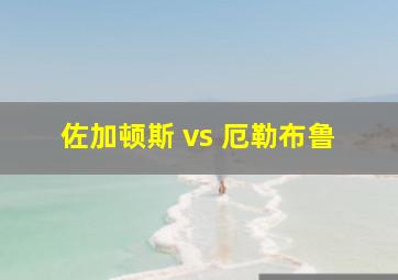 佐加顿斯 vs 厄勒布鲁